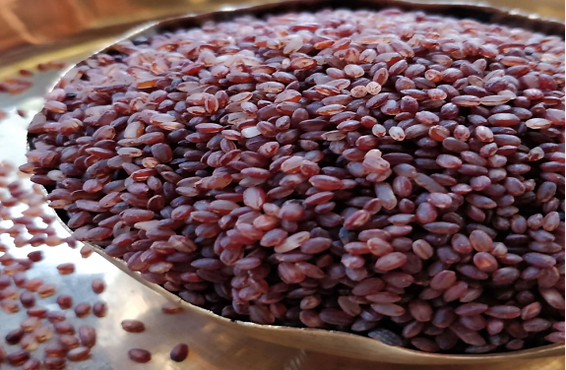 Red Rice, Raktashali Rice