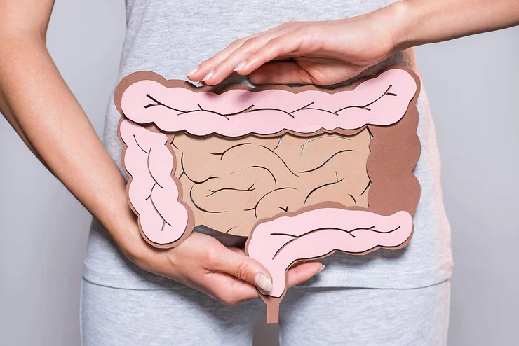 Gut Health