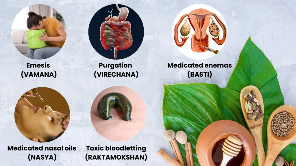 Panchakarma therapy